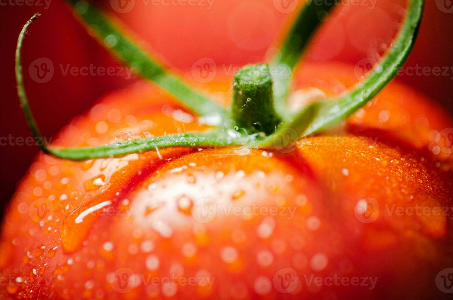 Fresh tomatoes macro. photo
