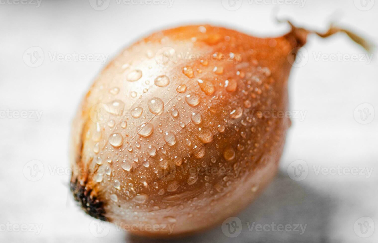 Fresh onions. On table photo