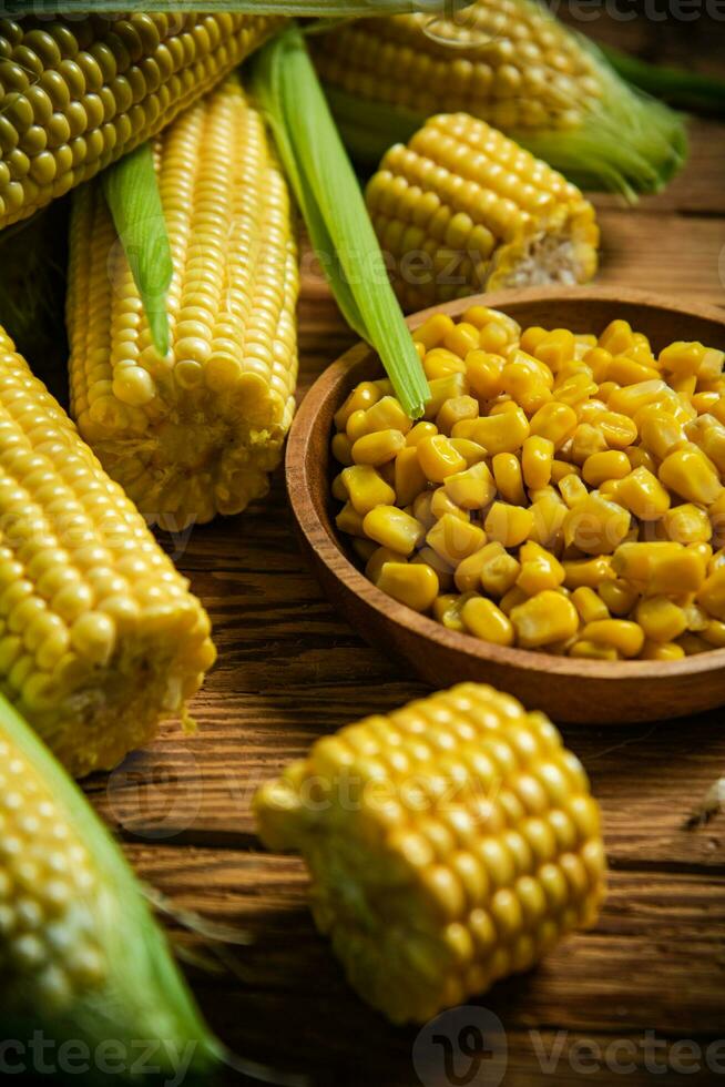 Canned corn in plate. photo