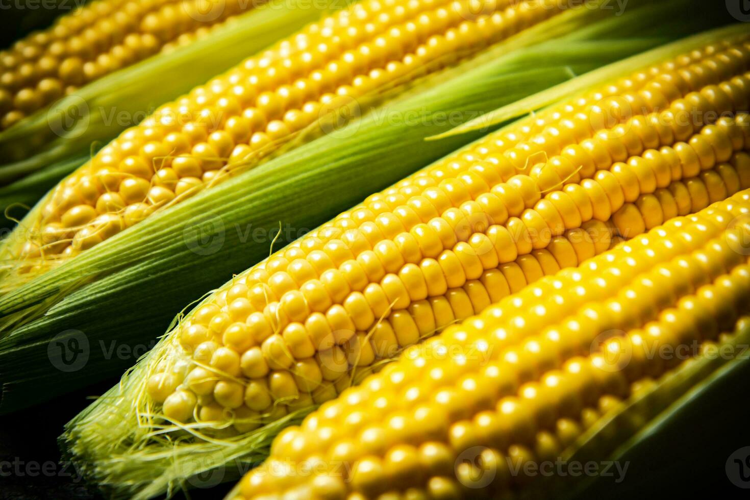Fresh corn on cutting board. photo