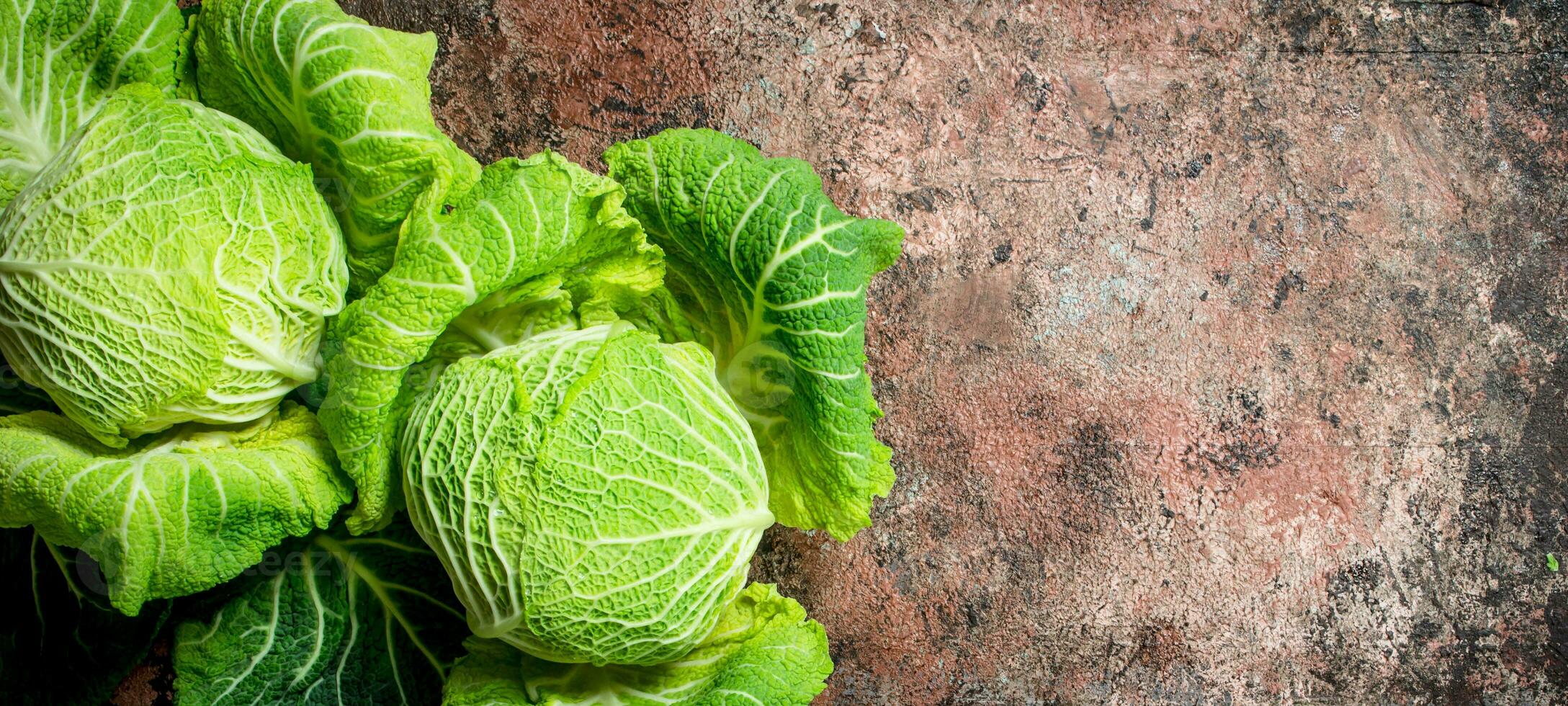 Fresh green cabbage. photo
