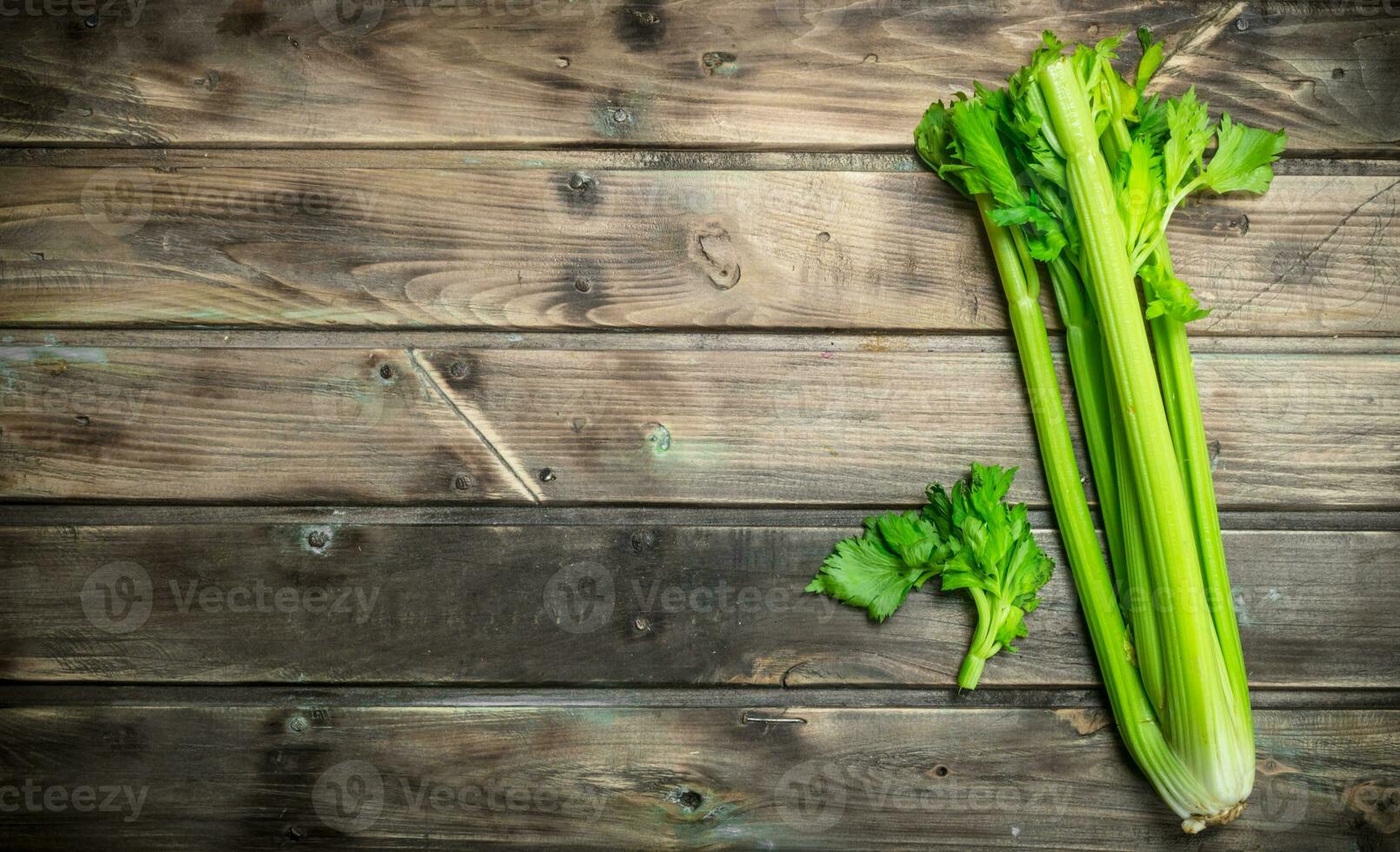 Fresh juicy celery. photo