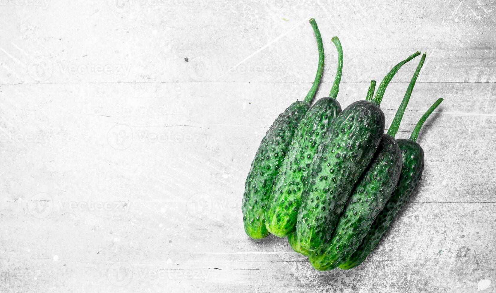 Ripe fresh cucumbers. photo