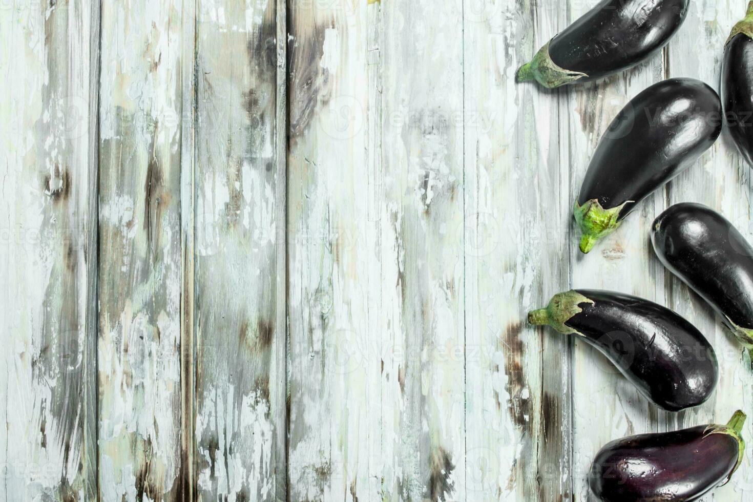Ripe eggplants are shiny. photo