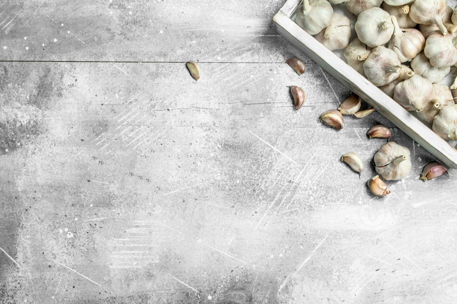 Fresh garlic in the tray. photo