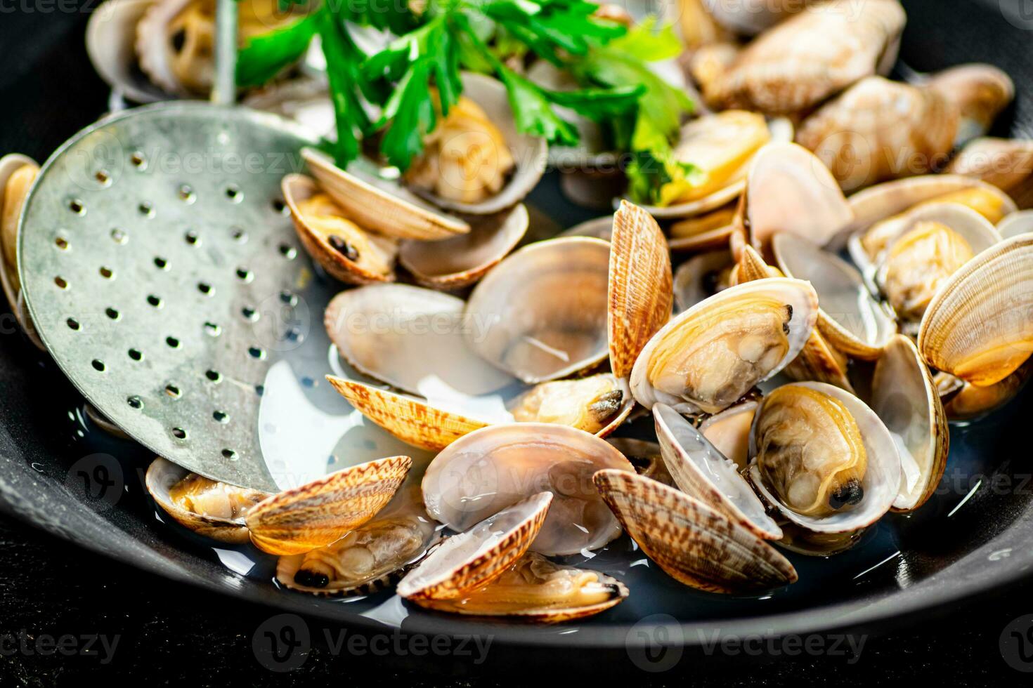 Fresh vongole with parsley. Macro background. photo