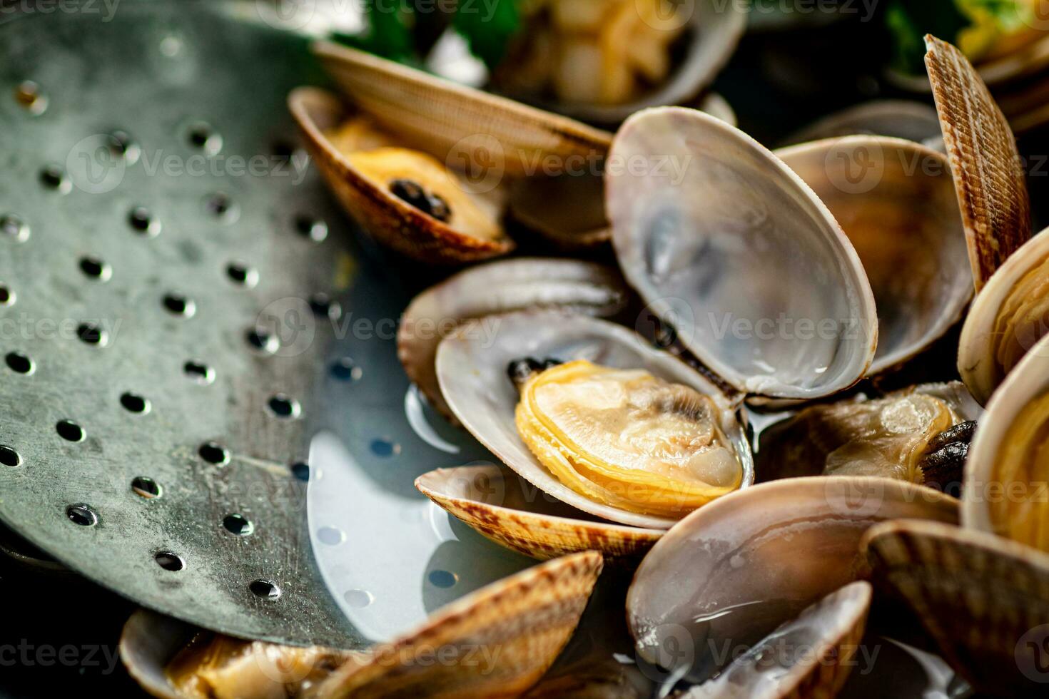 Vongole with noise. Macro background. photo