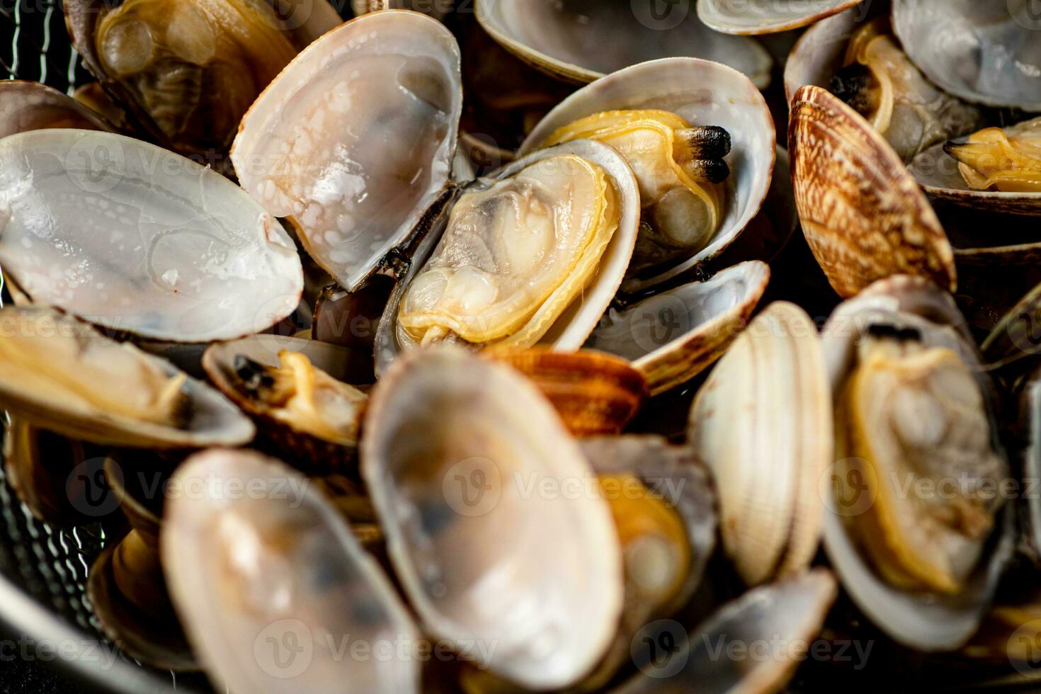 Fresh vongole. Macro background. Texture vongole. photo