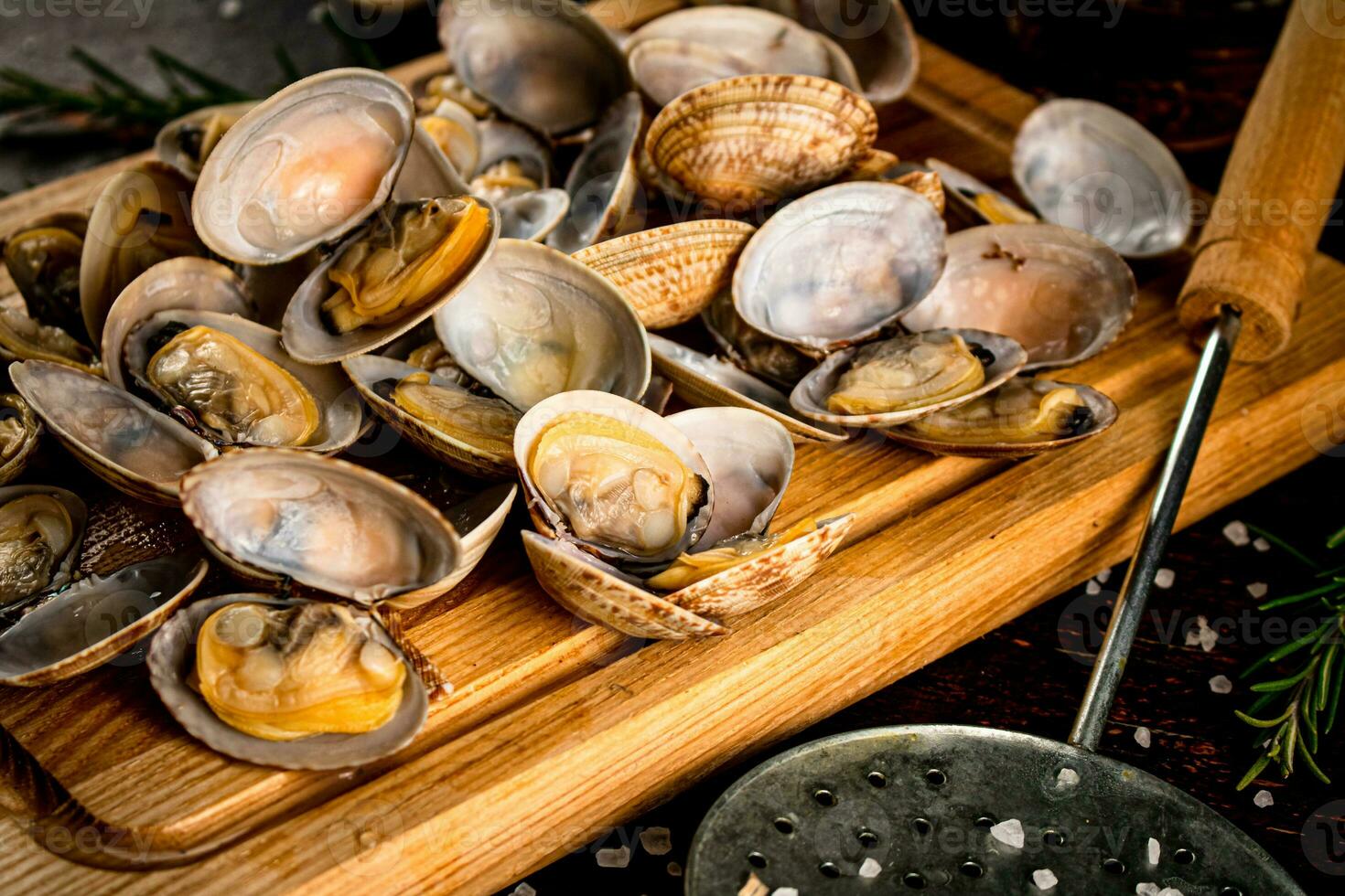 Vongole on a wooden cutting board. photo
