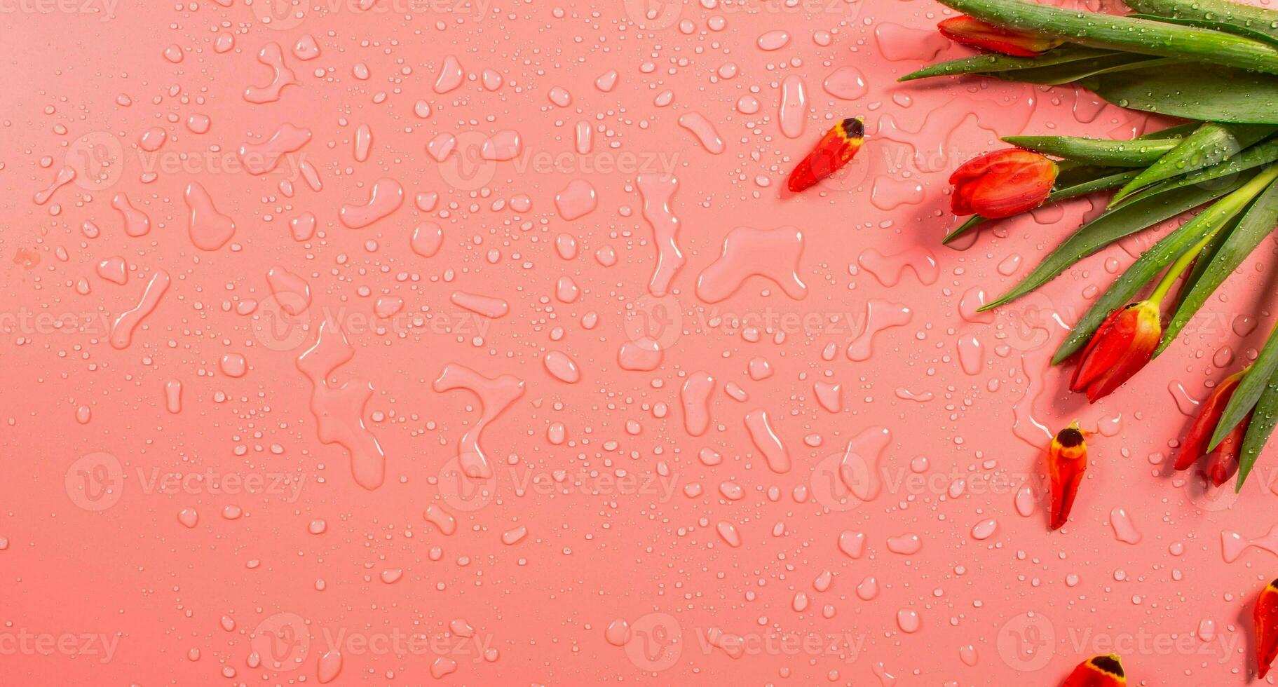 Beautiful spring flowers. photo
