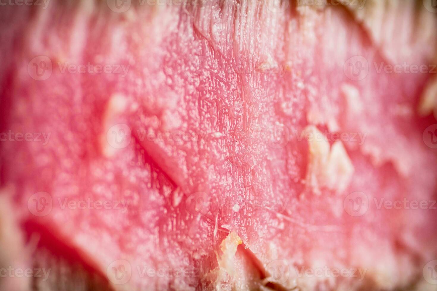 Steak tuna grilled. Macro background. photo