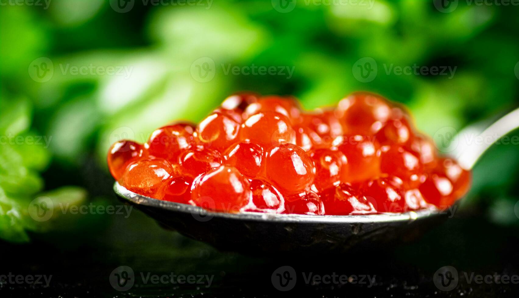 A full spoonful of red caviar on the table with parsley. photo