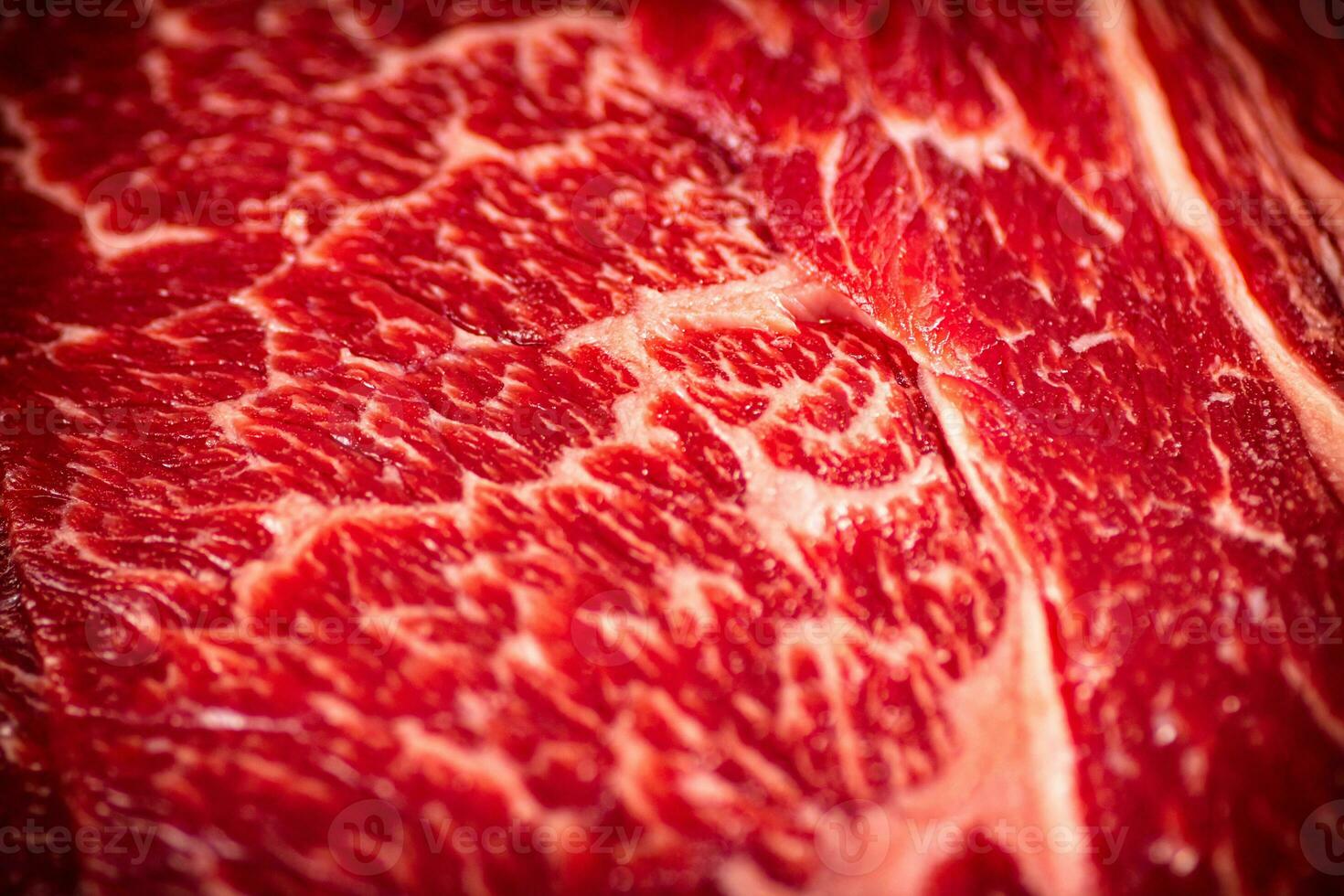 Raw beef pulp. Macro background. Beef texture. photo