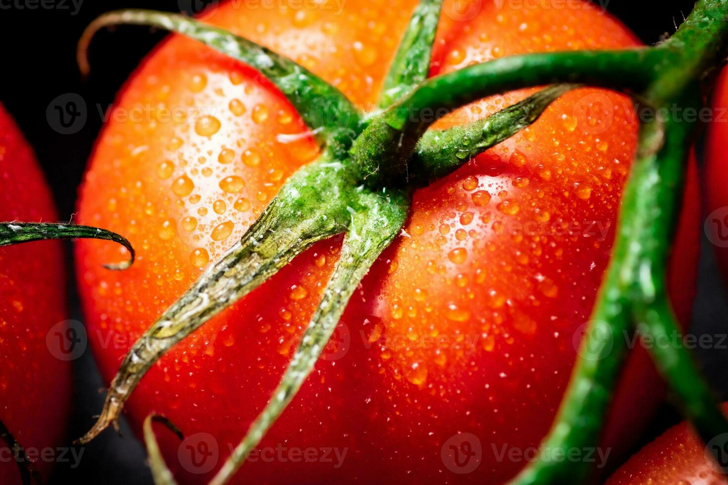 Fragrant ripe tomatoes with drops of water. photo