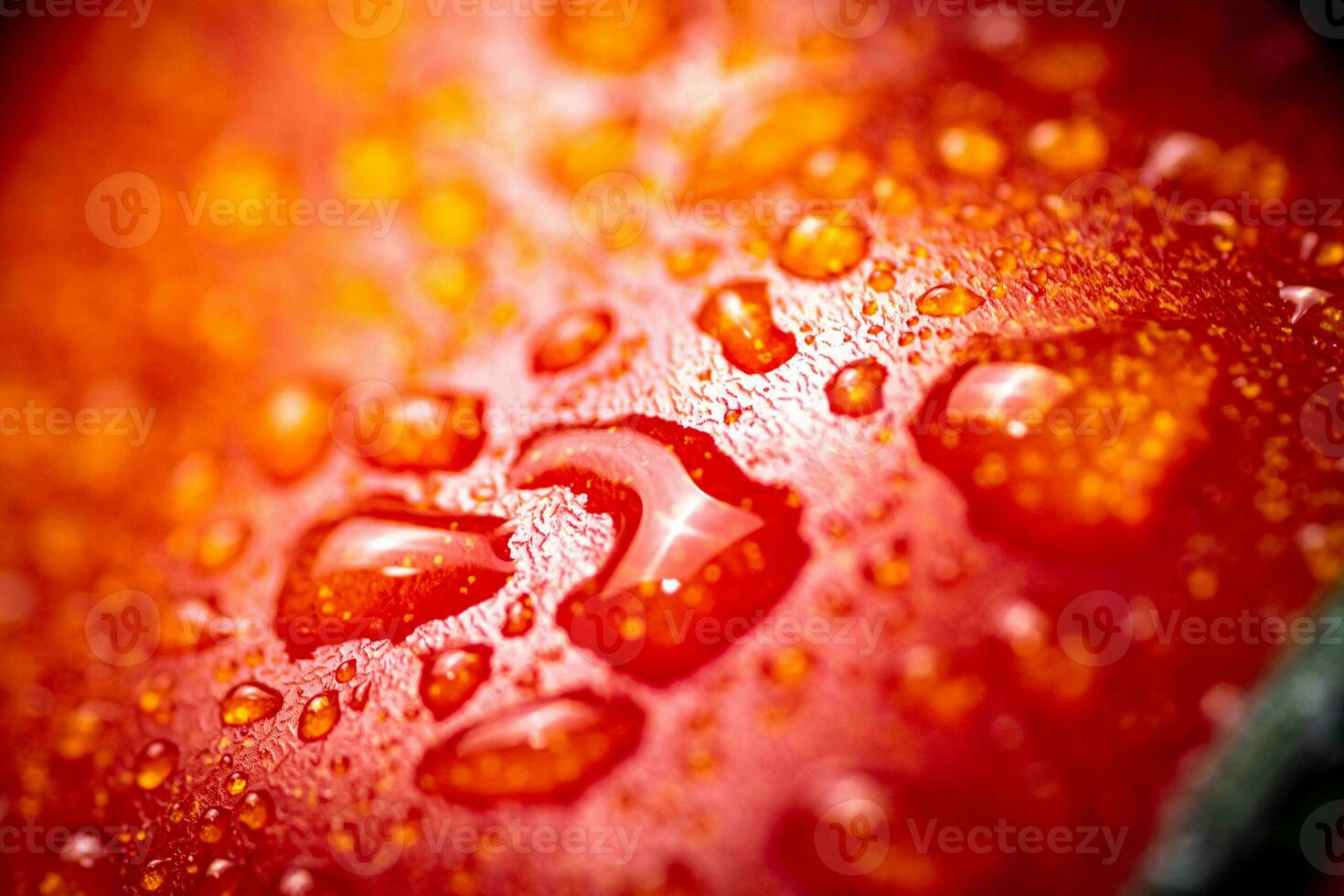 Red ripe tomato with drops of water. photo
