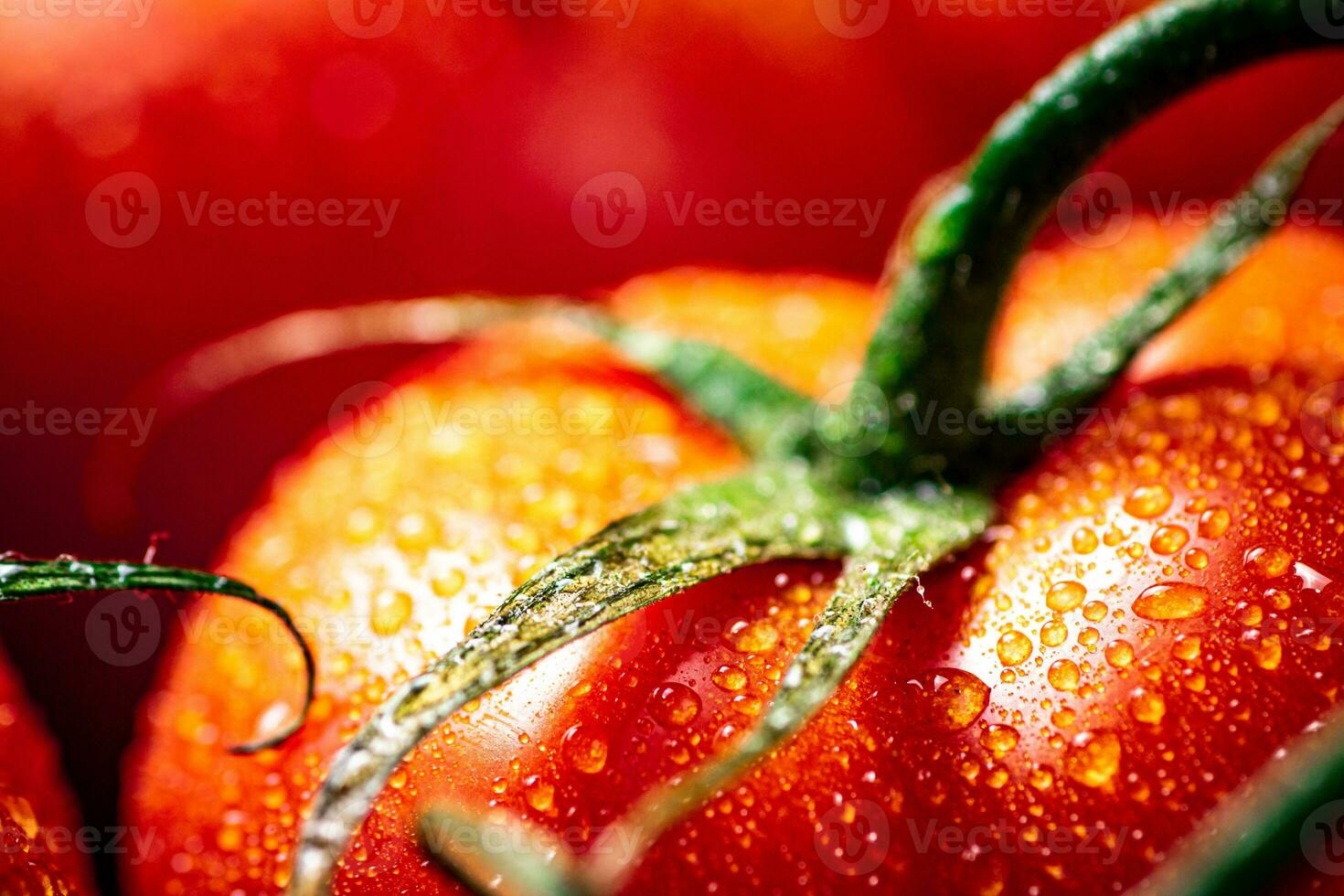 Red ripe tomato with drops of water. photo