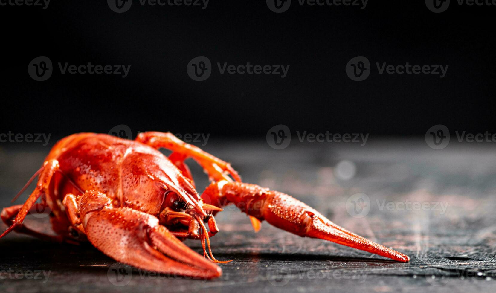 One red boiled crayfish on the table. photo