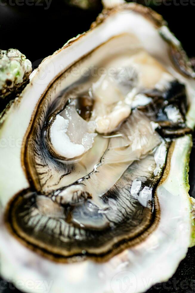 One fresh oyster. Macro background. 31996849 Stock Photo at Vecteezy