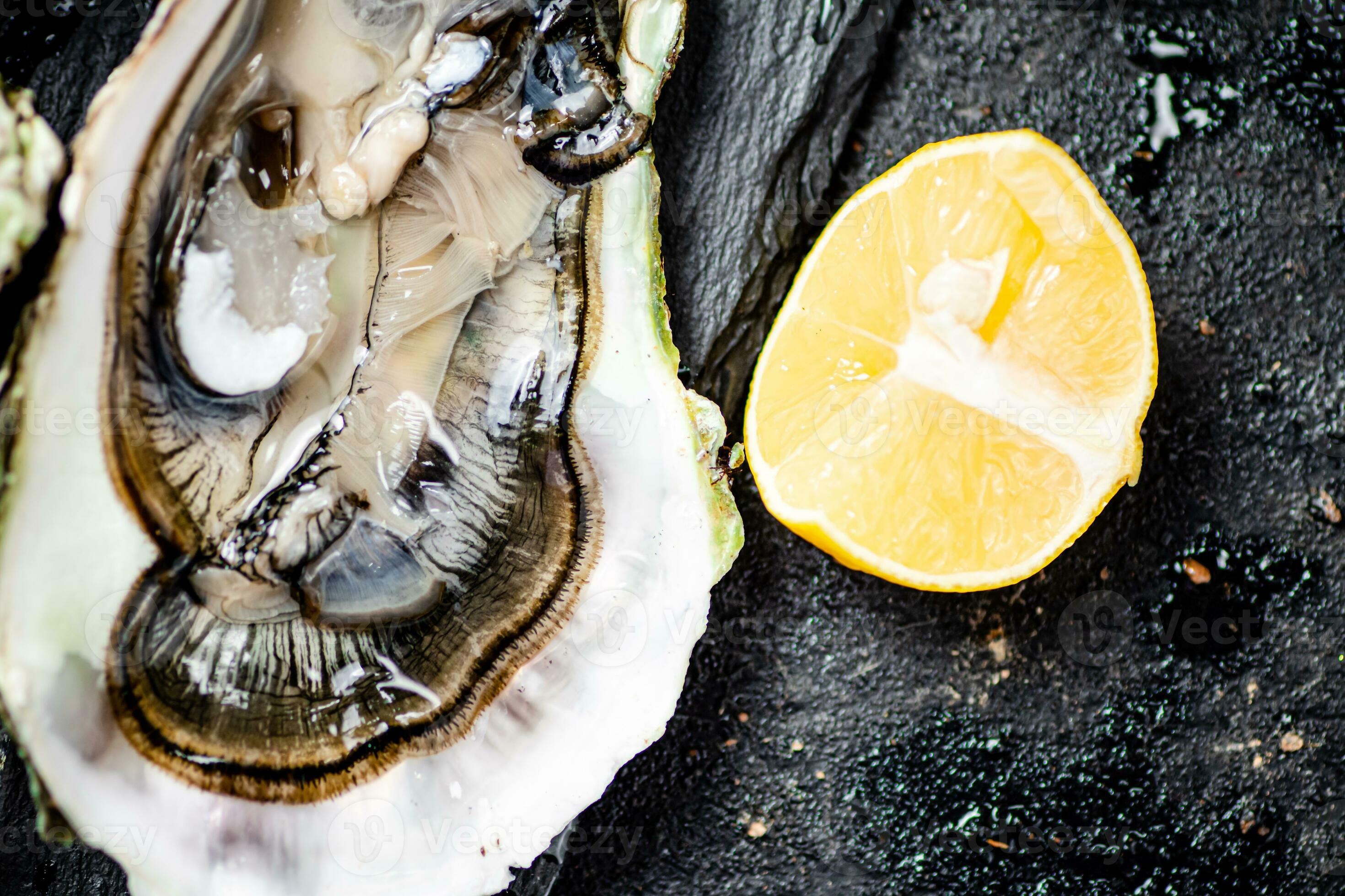 One fresh oyster. Macro background. 31996873 Stock Photo at Vecteezy