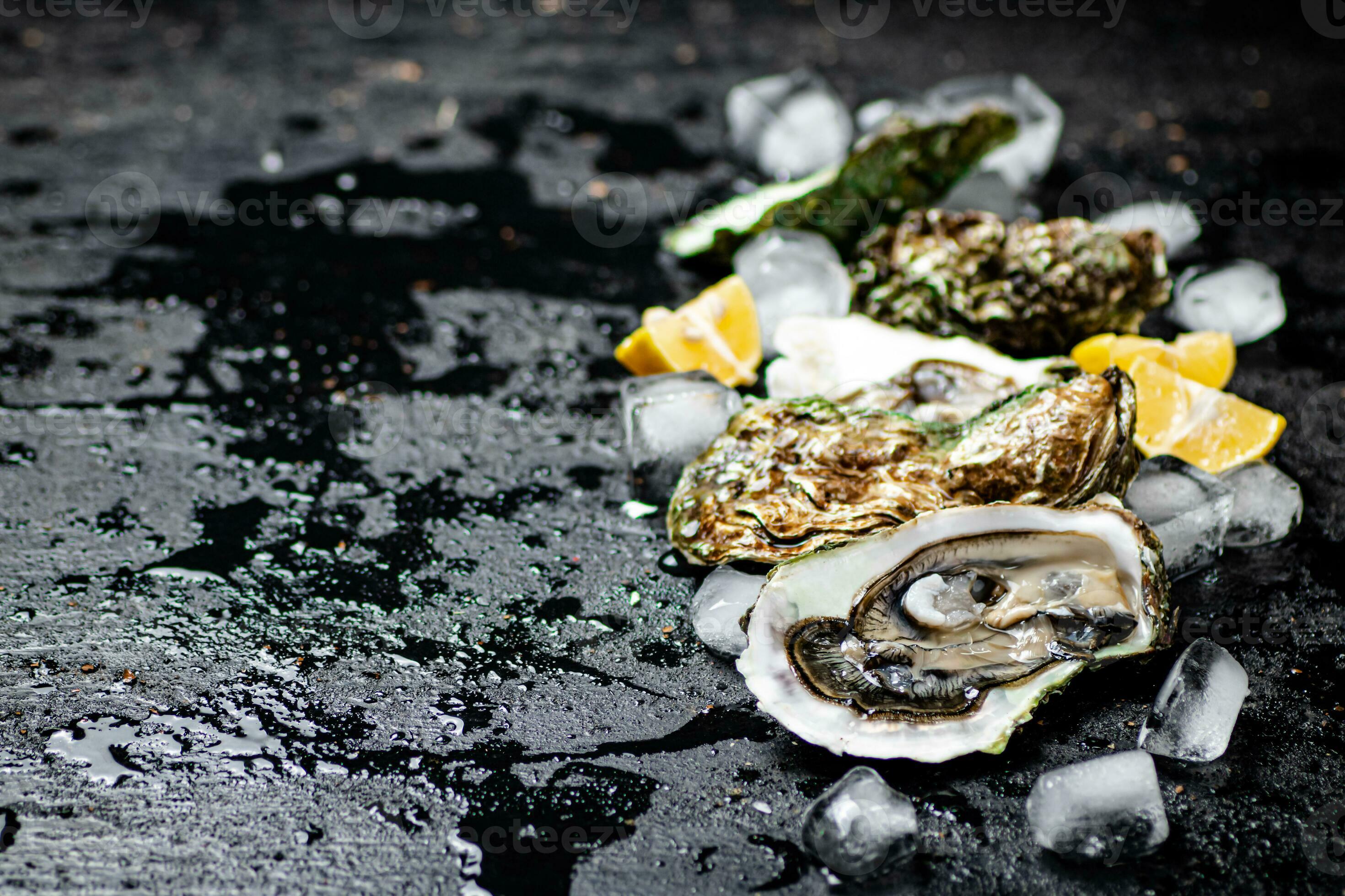 One fresh oyster. Macro background. 31996876 Stock Photo at Vecteezy