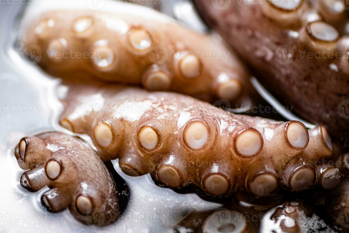 The tentacles of the octopus are boiled in water. photo
