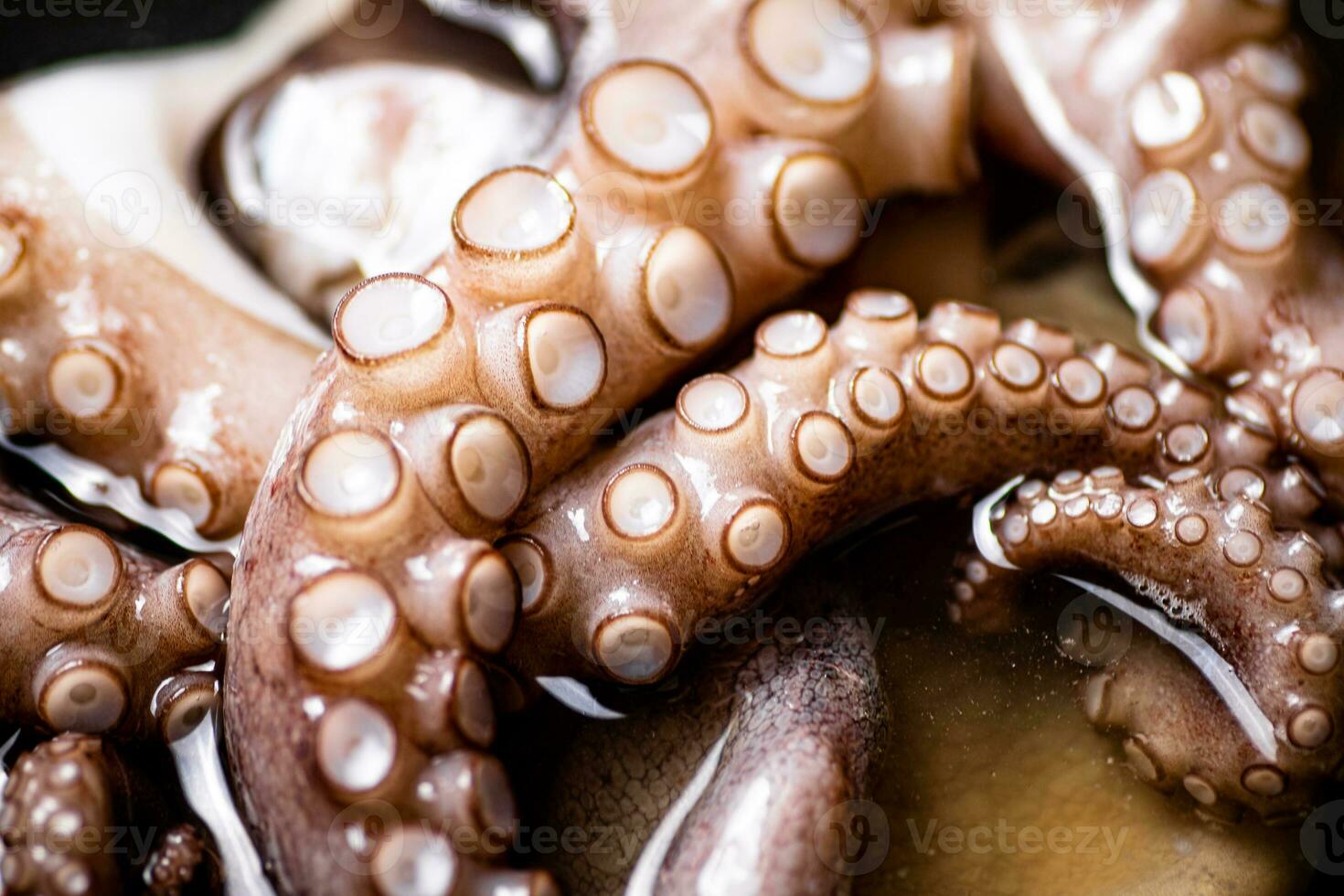 The tentacles of the octopus are boiled in water. photo