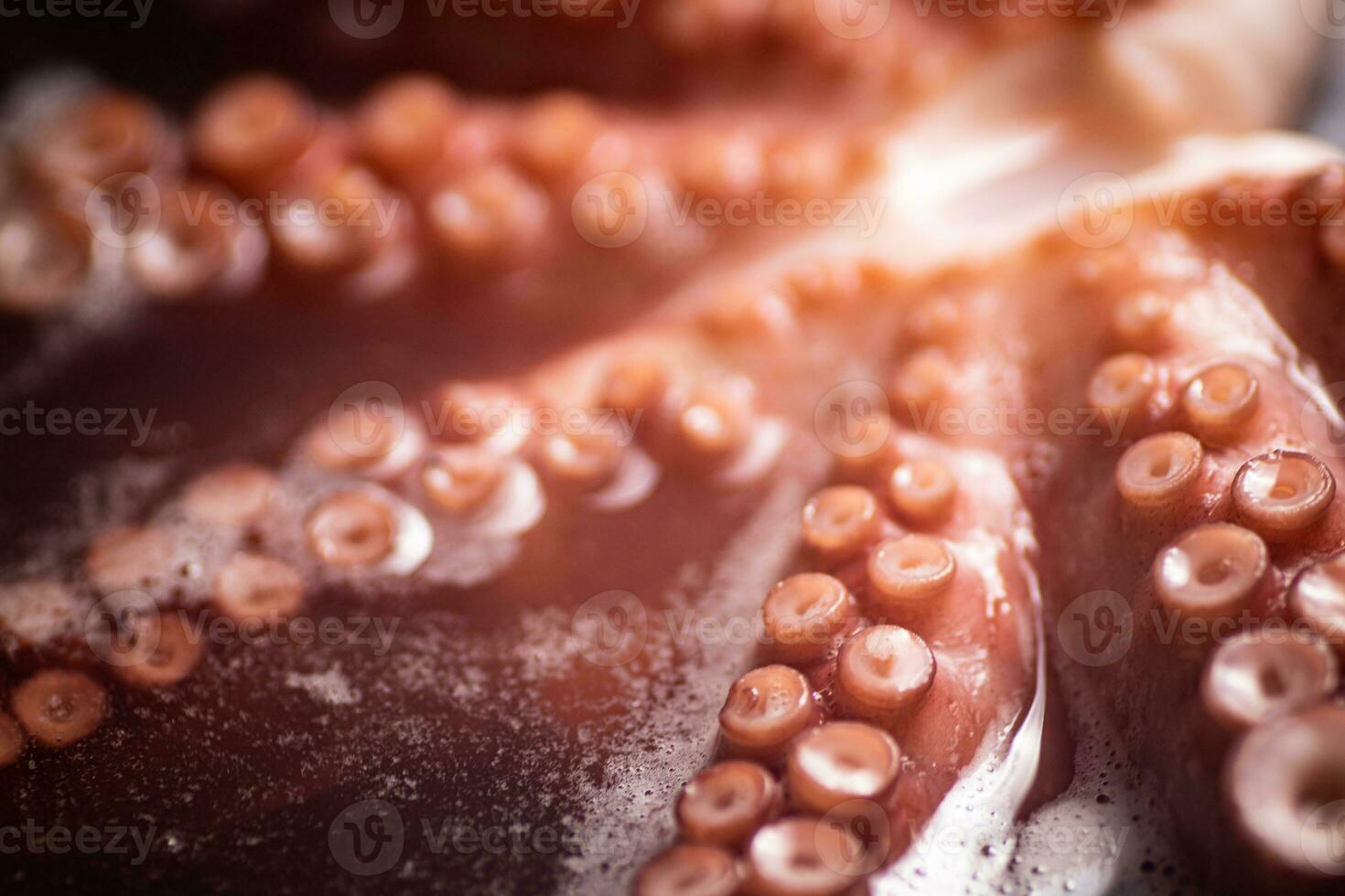 The tentacles of the octopus are boiled in water. photo