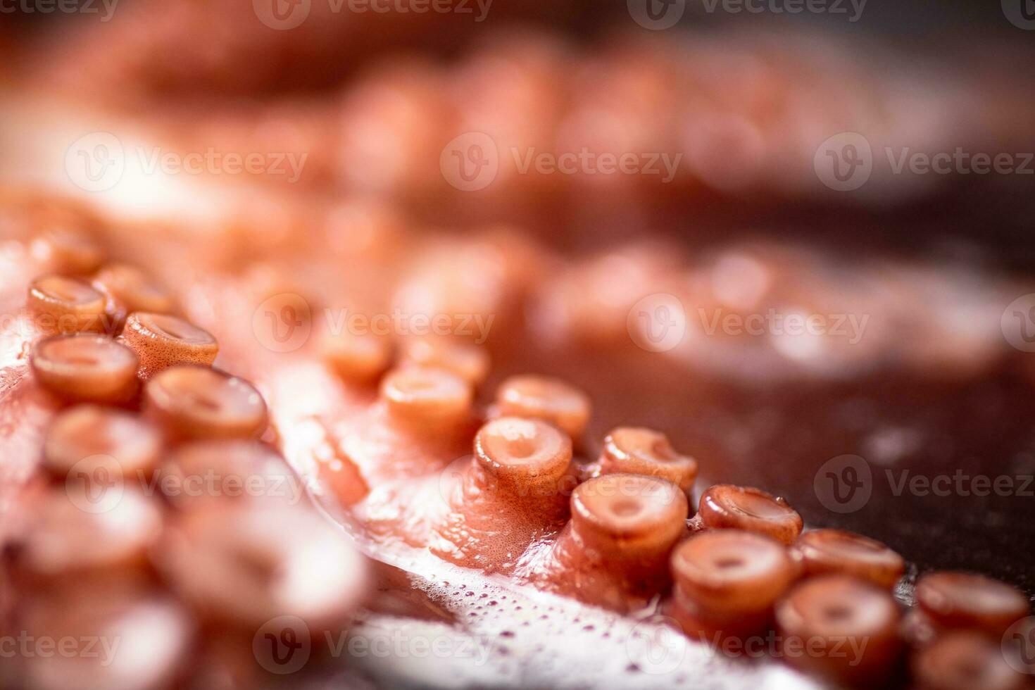 The tentacles of the octopus are boiled in water. photo