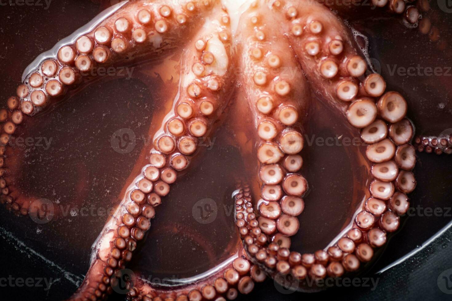 The tentacles of the octopus are boiled in water. photo