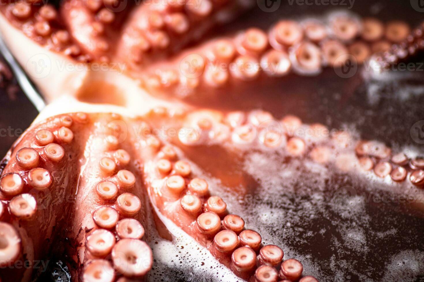 The tentacles of the octopus are boiled in water. photo