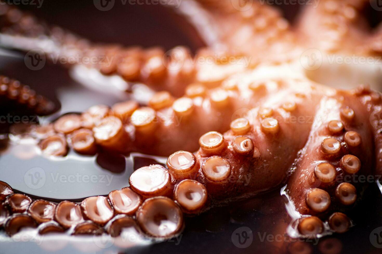 The tentacles of the octopus are boiled in water. photo