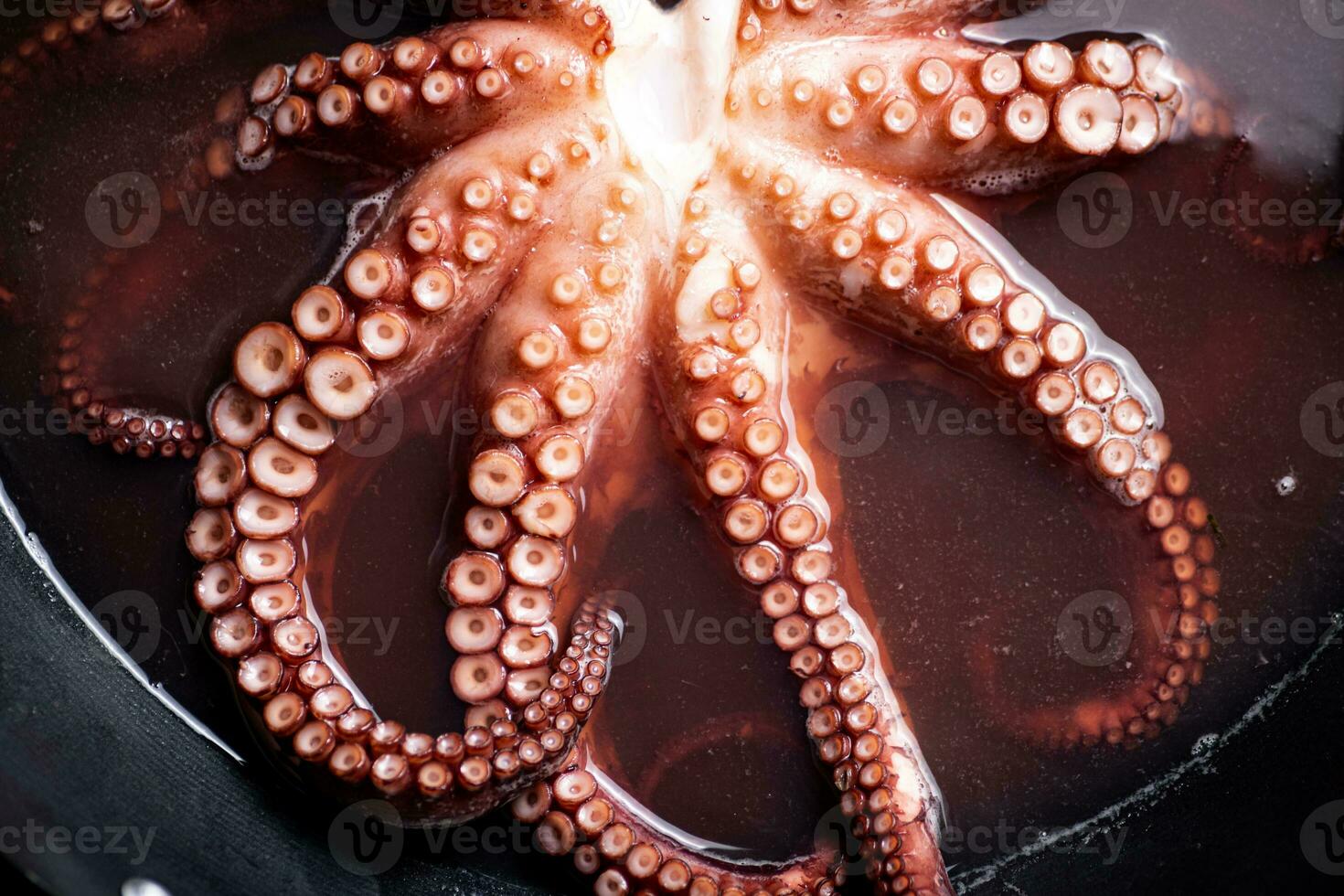 Octopus is boiled in a pot of water. photo