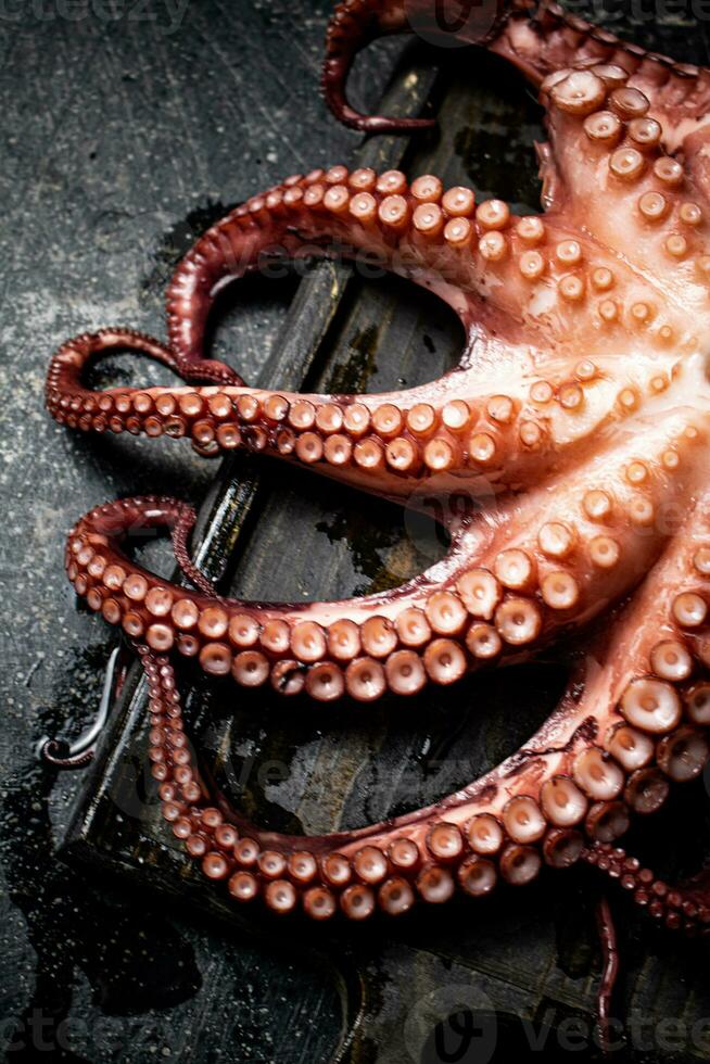 Tentacles of a fresh octopus on a cutting board. photo