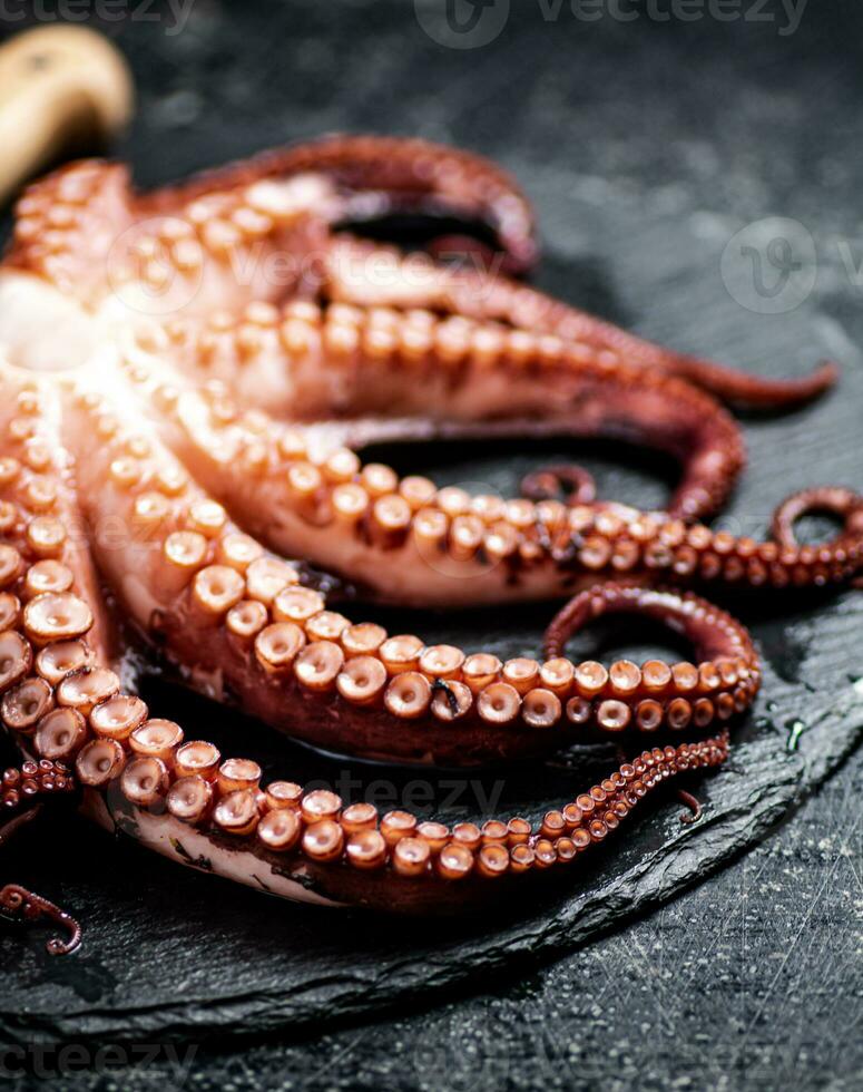 Fresh octopus on a stone board. photo