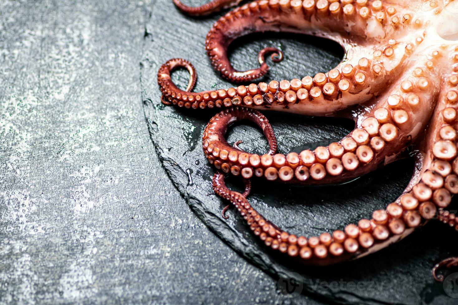 Fresh octopus on a stone board. photo