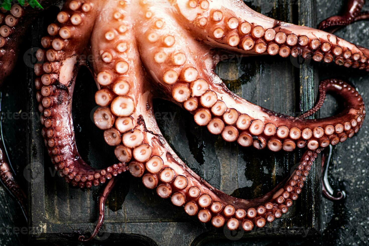 Tentacles of a fresh octopus on a cutting board. photo