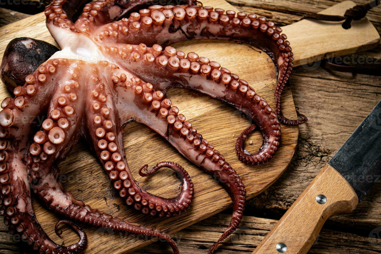 Beautiful octopus on a cutting board. photo