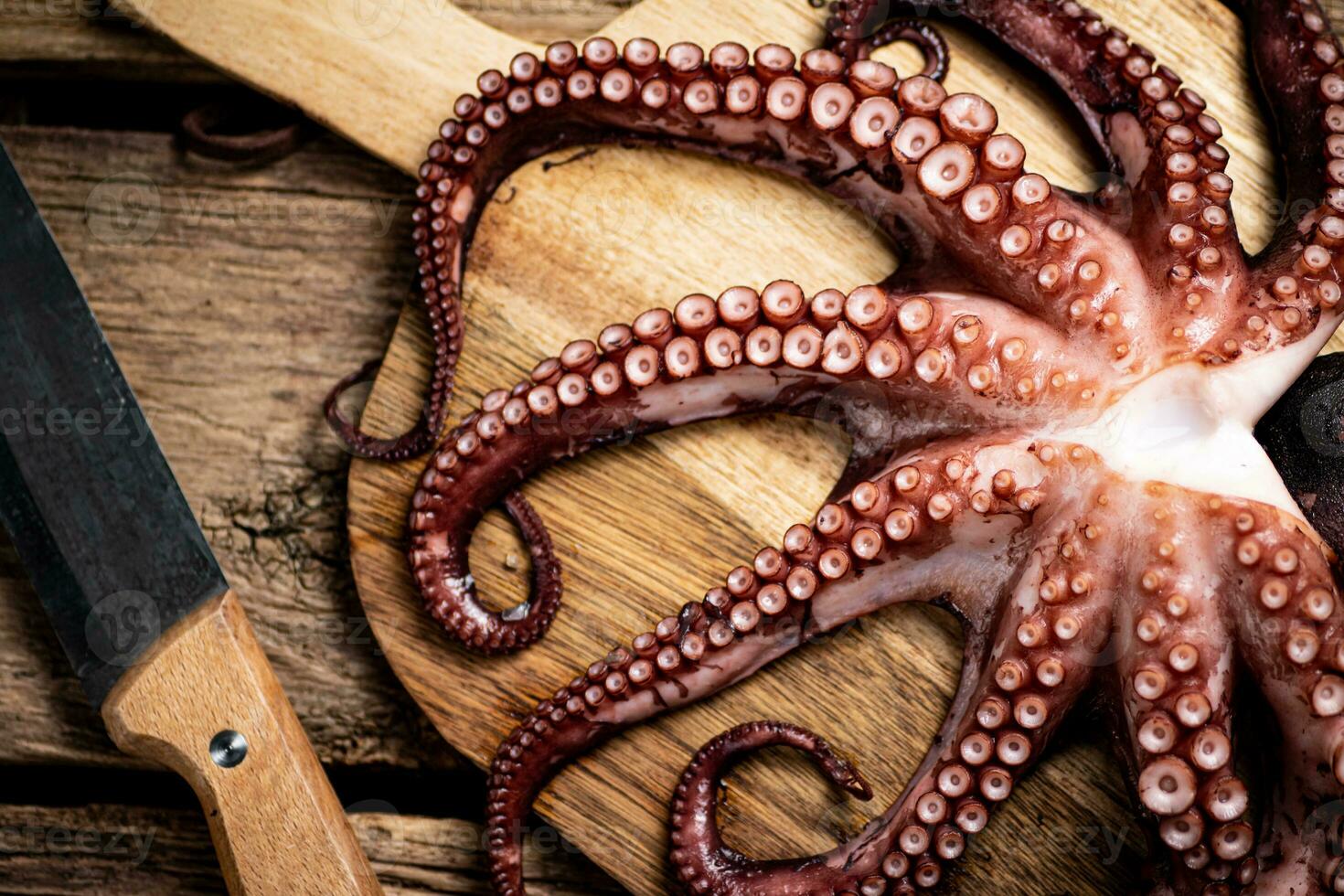 Beautiful octopus on a cutting board. photo