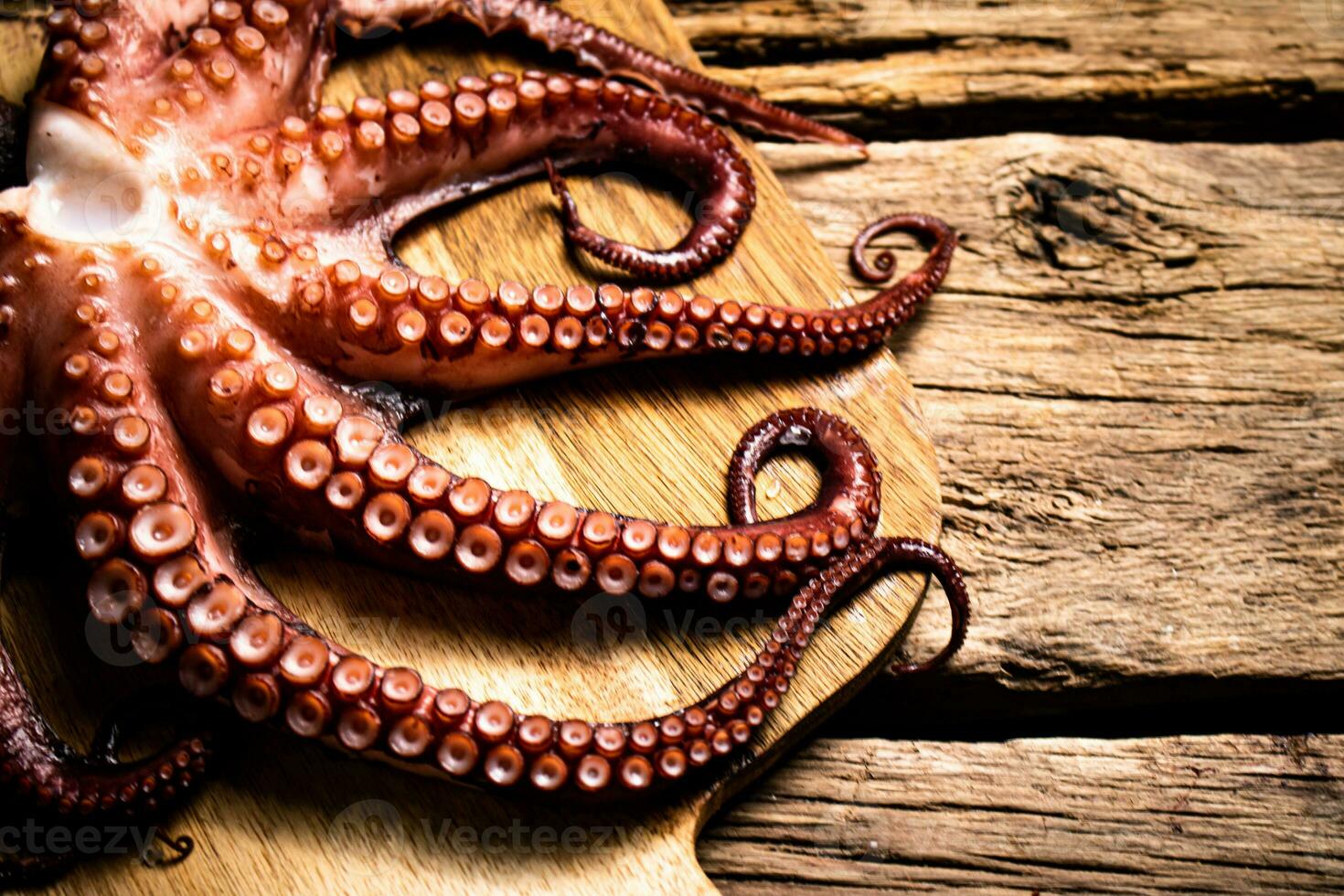 Beautiful octopus on a cutting board. photo