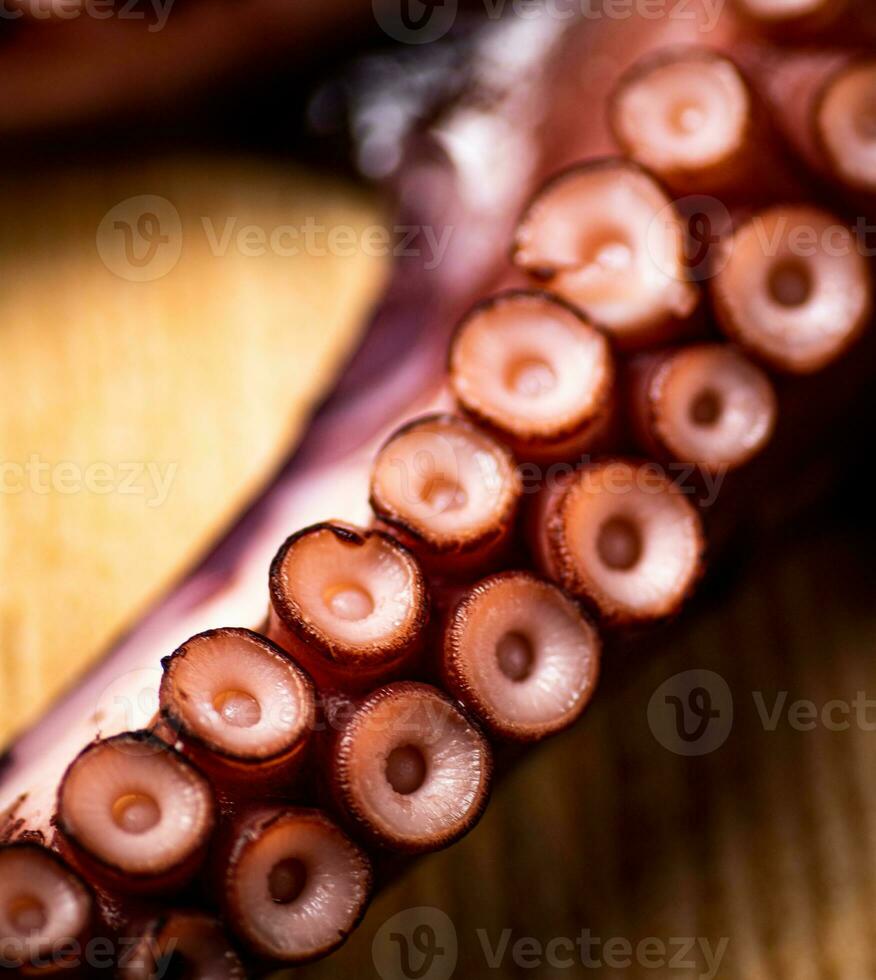 Octopus tentacles. Macro background. Octopus texture. photo