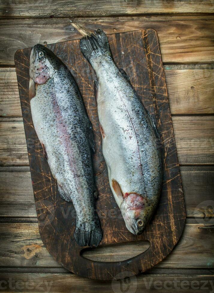Raw sea fish salmon on a cutting Board. photo