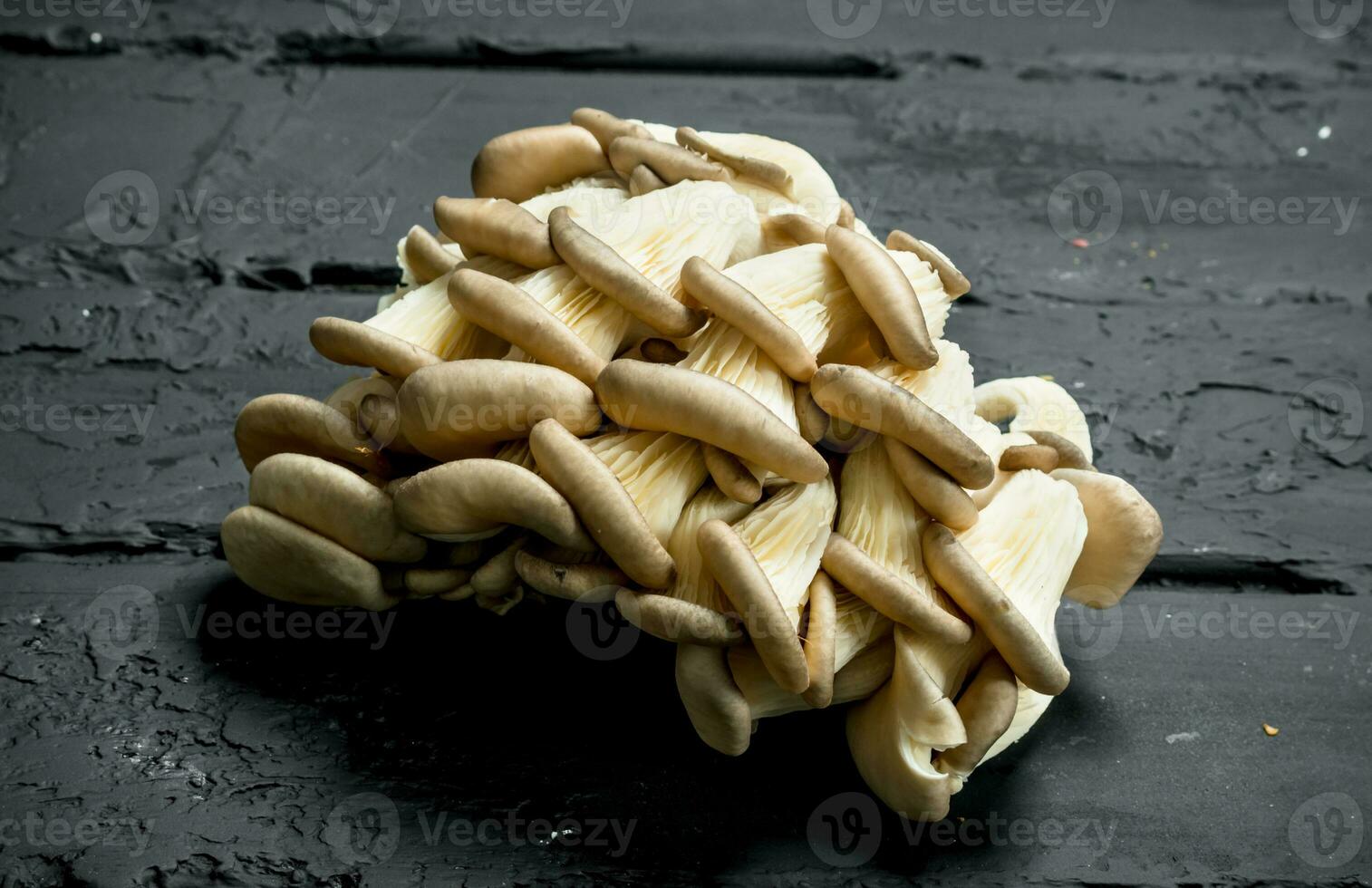 The fresh oyster mushrooms. photo