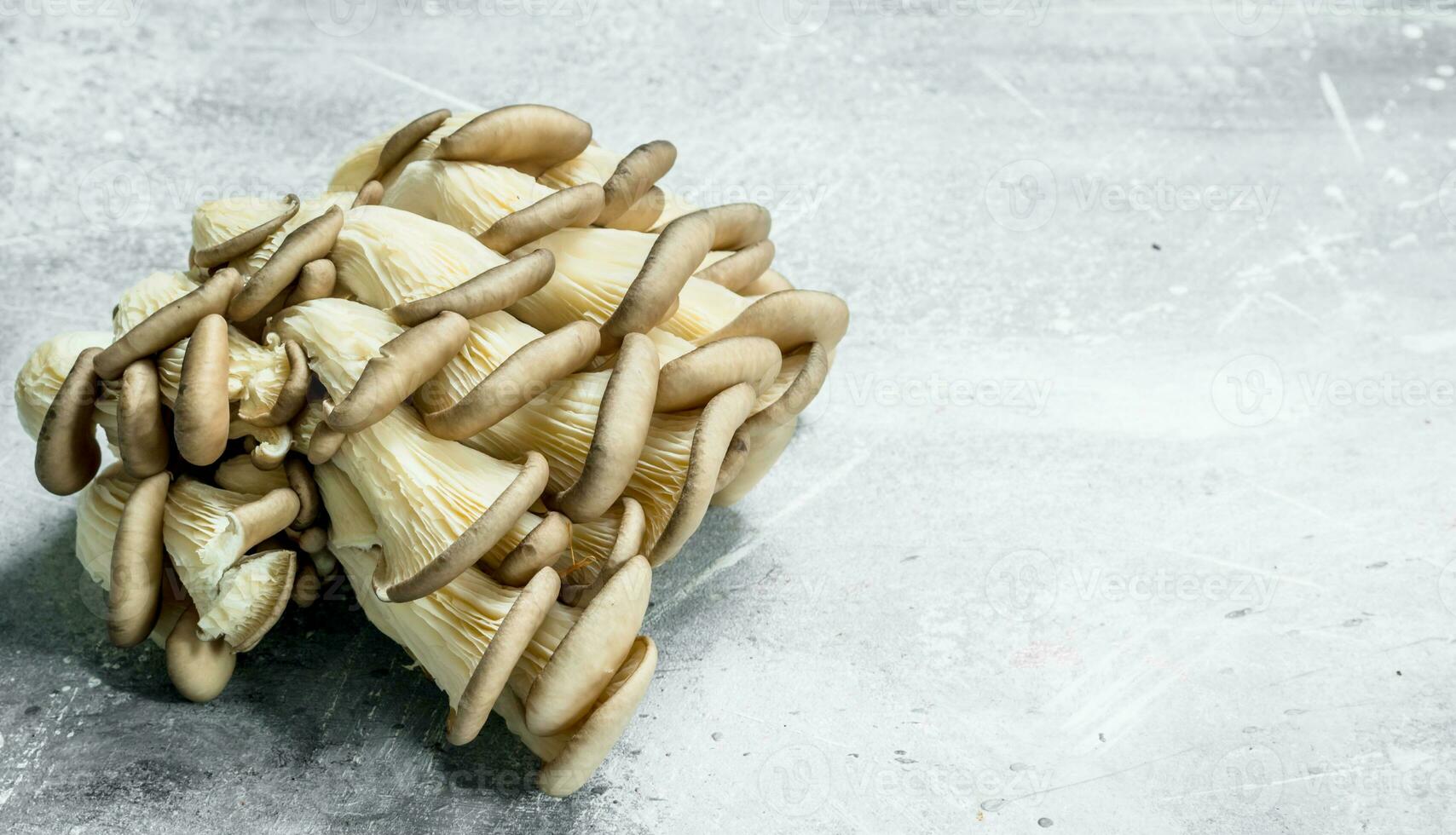 Bunch of fresh mushrooms. photo