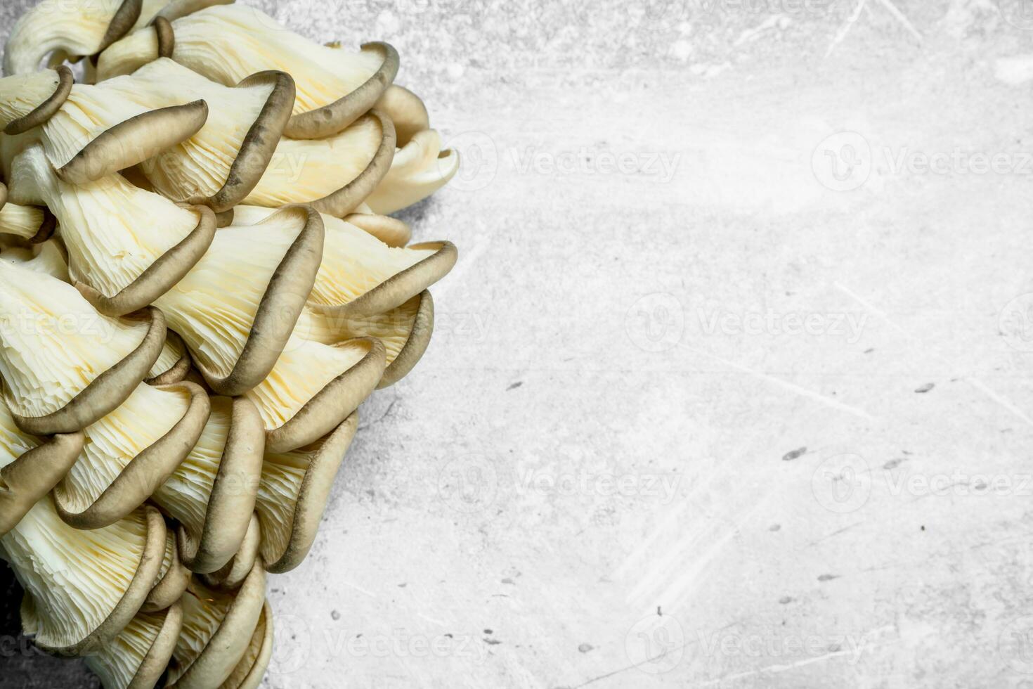 Bunch of fresh mushrooms. photo