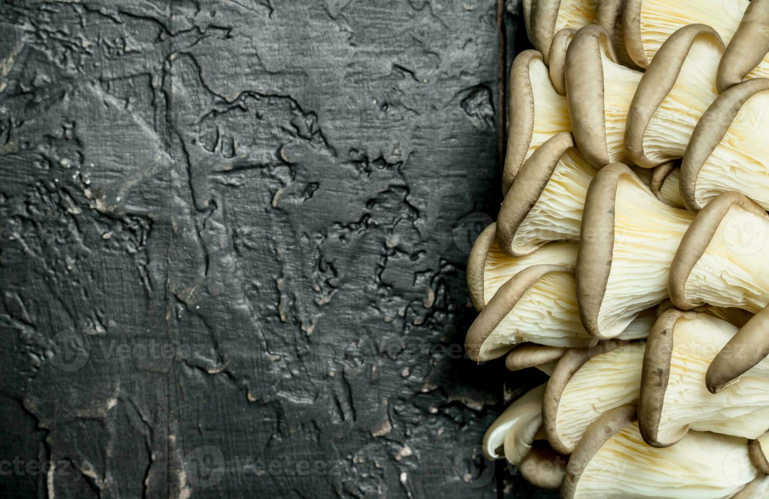The fresh oyster mushrooms. photo