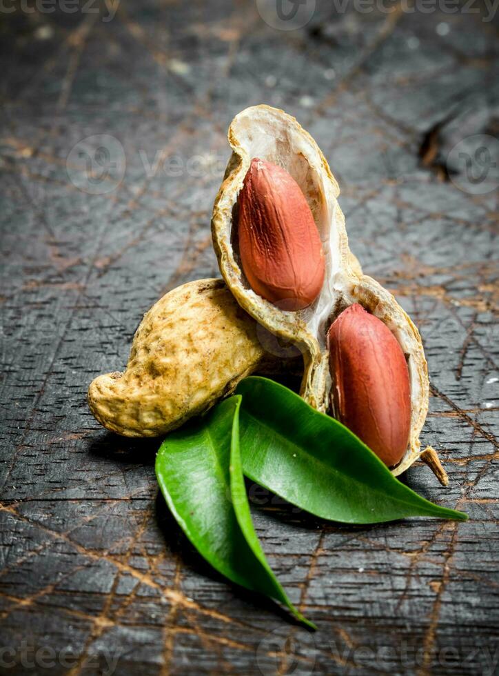 Peanuts with green leaves . photo