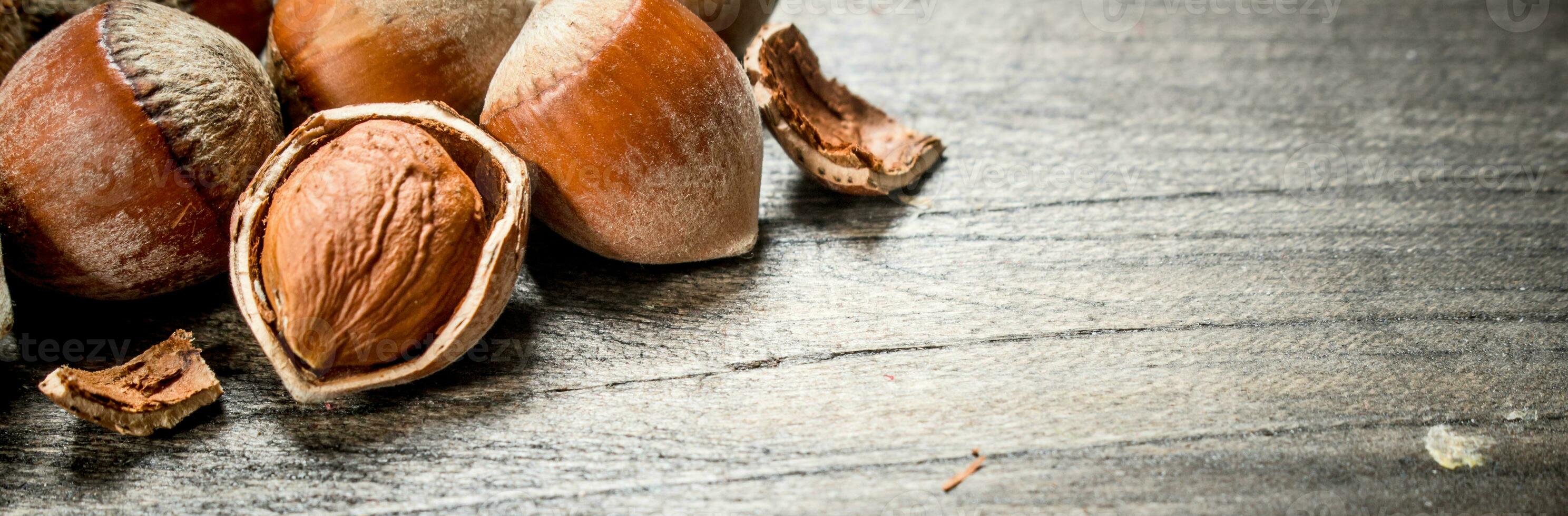 Hazelnut with shell . photo