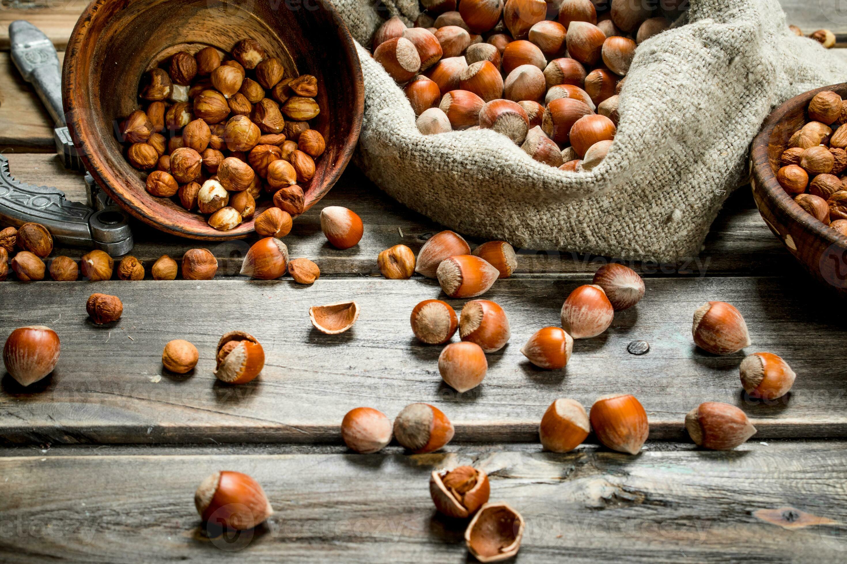 Hazelnuts in the shell. 32007116 Stock Photo at Vecteezy