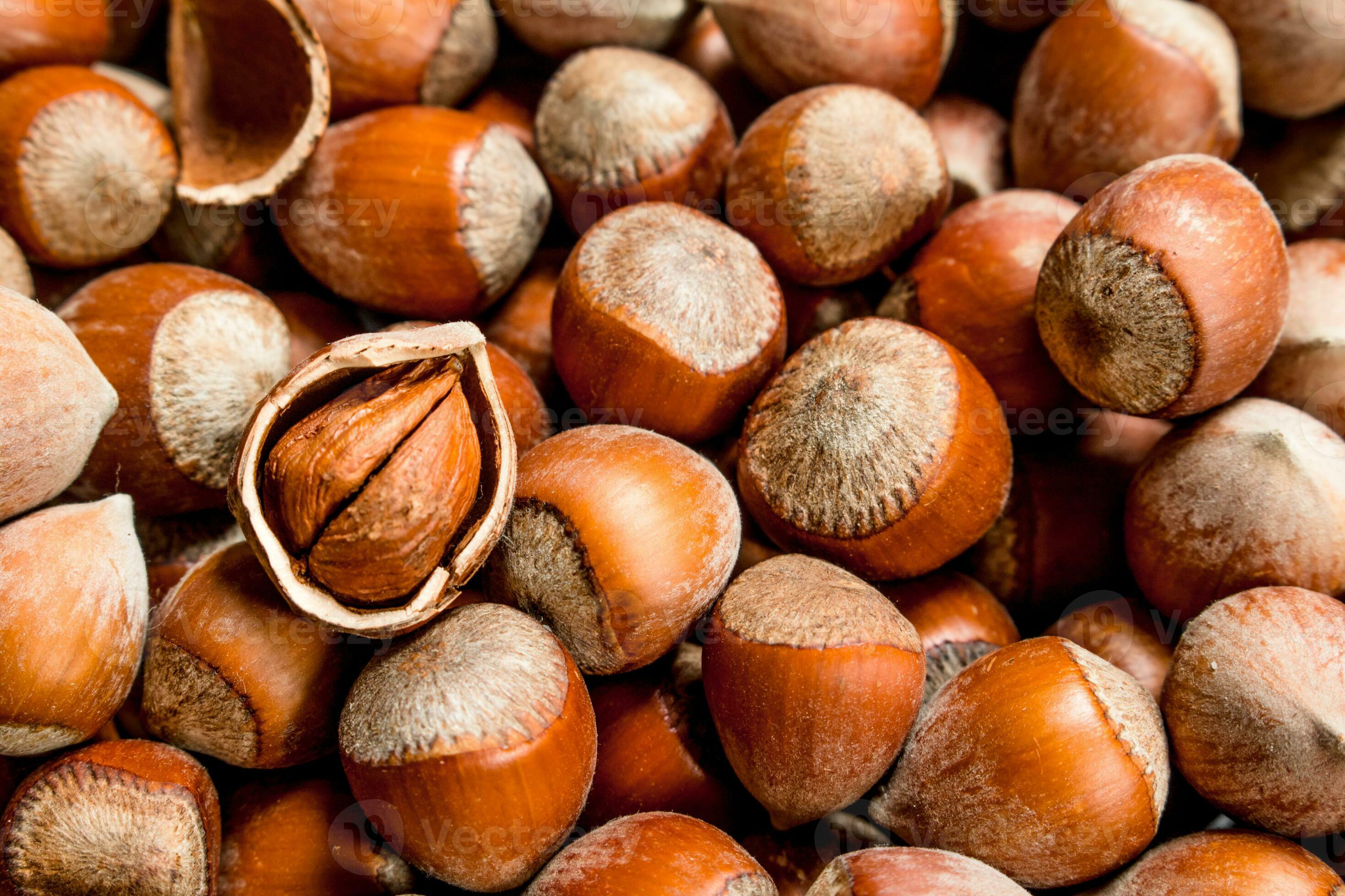Hazelnuts in the shell. 32007120 Stock Photo at Vecteezy