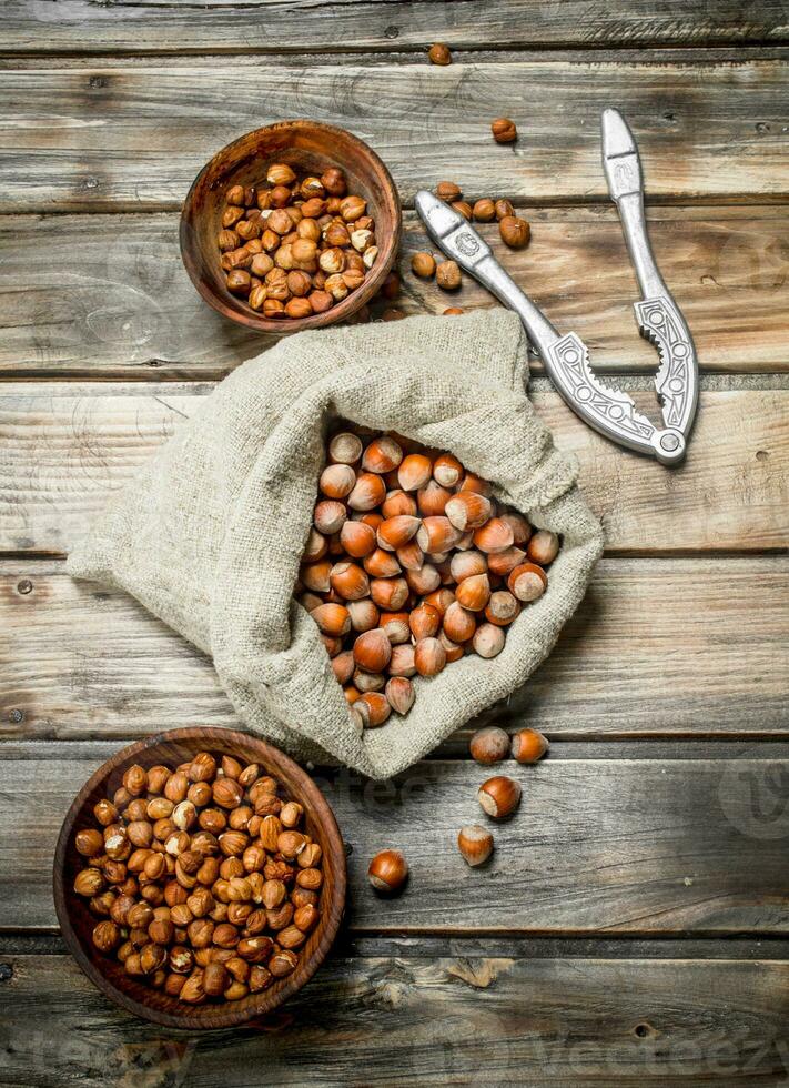 Hazelnuts shelled with a Nutcracker . photo